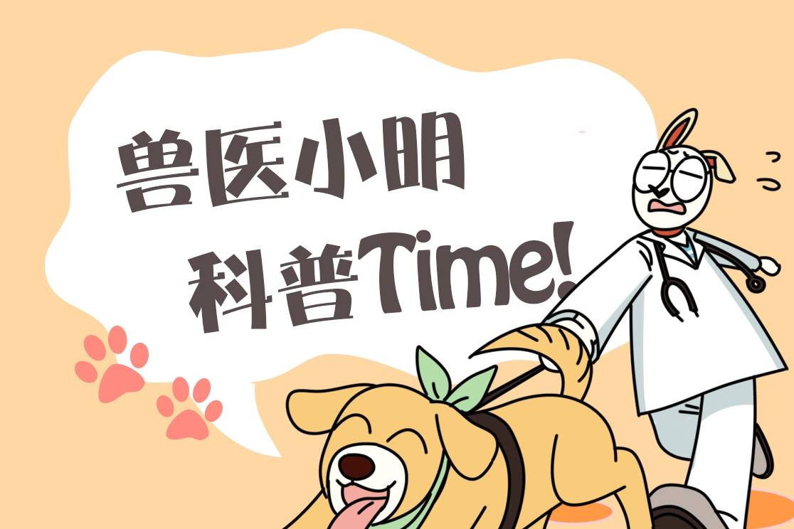 小区里看见一只流浪猫<strong></p>
<p>猫币</strong>，朋友看见照片后打来电话：行走的人民币呀