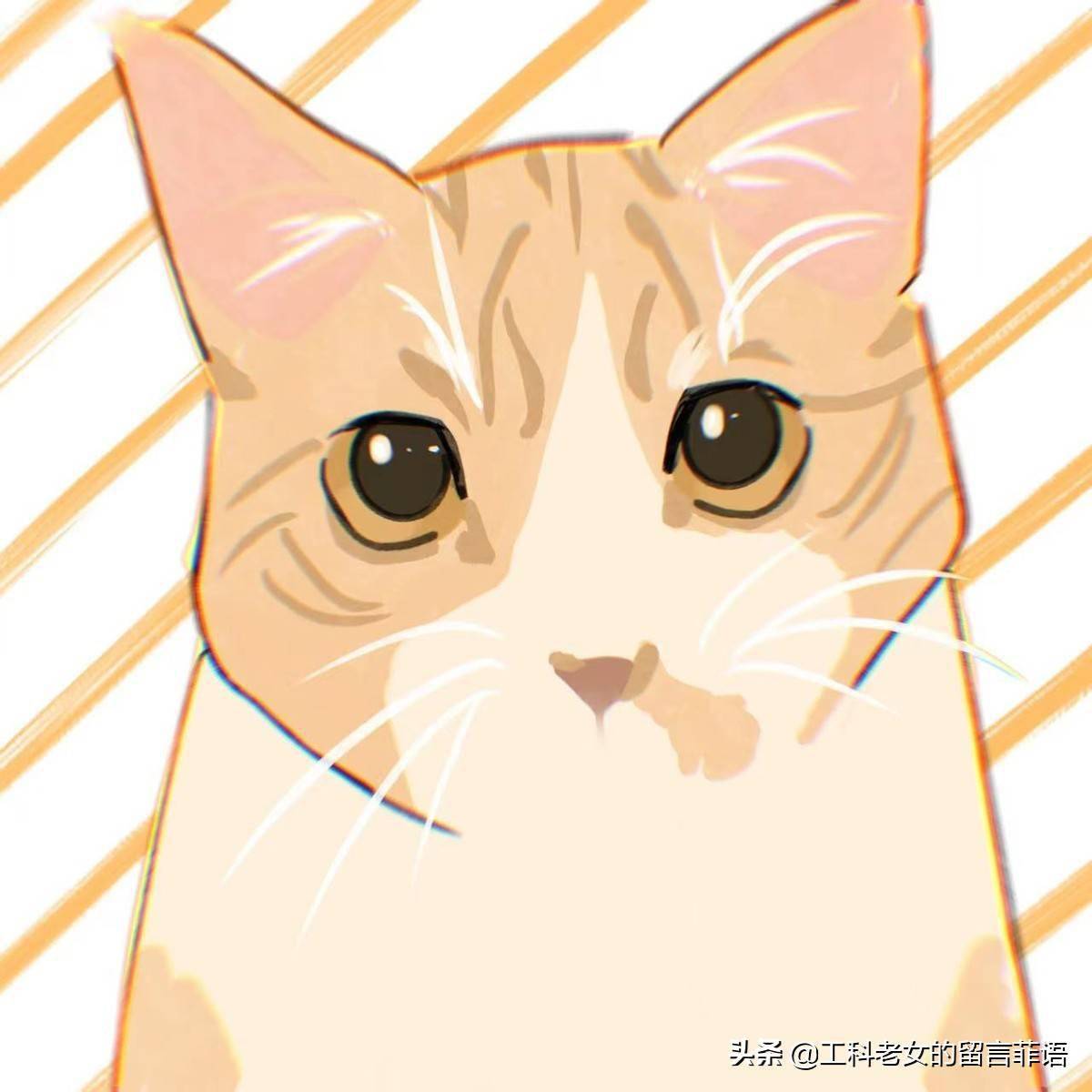 猫：照猫画猫<strong></p>
<p>猫币</strong>，看看画得像吗？