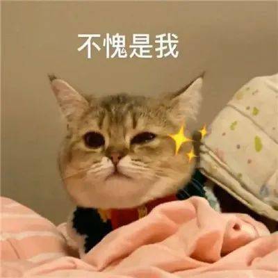 小公告 | 皎洁如月<strong></p>
<p>币星</strong>，绚烂若星！“劲彩彩蛋币”带你飞跃云间~