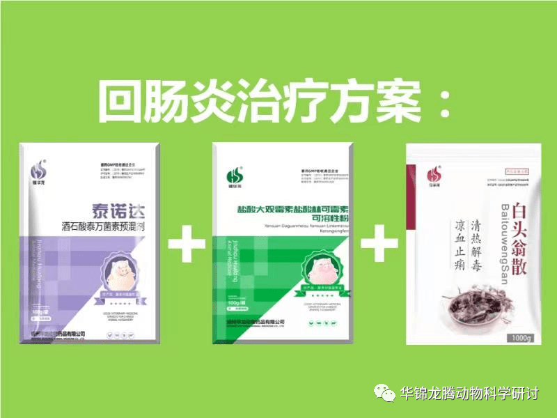 各种腹泻的鉴别要点