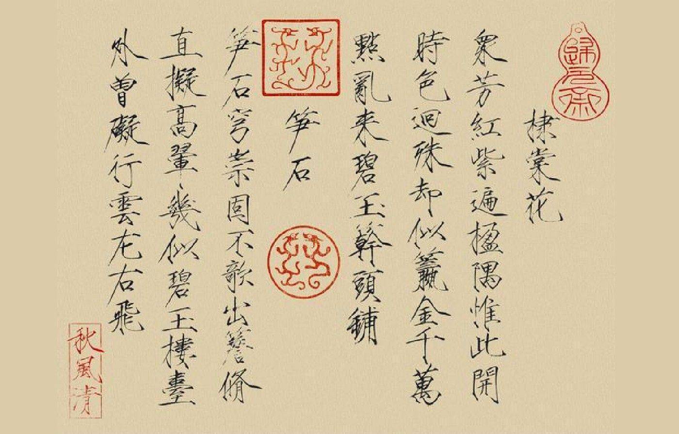 一个长在<strong></p>
<p>法币符号</strong>我审美上的“符号”