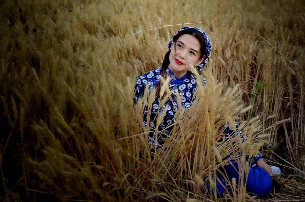 金色的麦浪<strong></p>
<p>金色幸运币</strong>，金色的歌声，金色的果实，金色的梦
