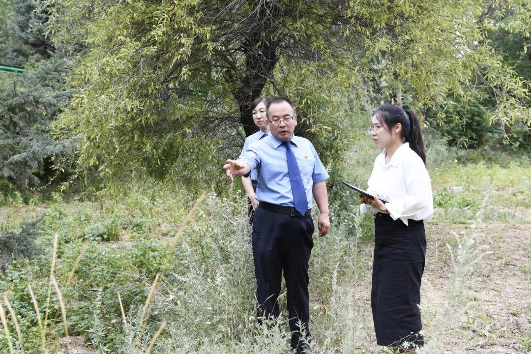 还有8天刑满释放<strong></p>
<p>王莽币种类</strong>，十年有期徒刑变为死缓，最高检抗诉的甘肃马某林案获改判