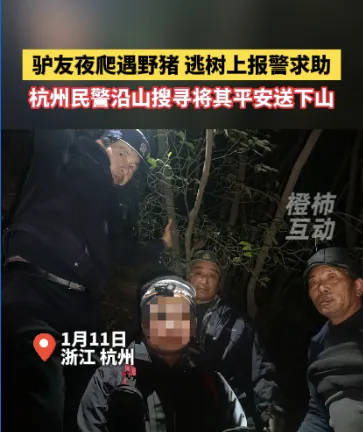 “我现在在树上<strong></p>
<p>炒币有风险</strong>，野猪在下面……”杭州一男子深夜报警！