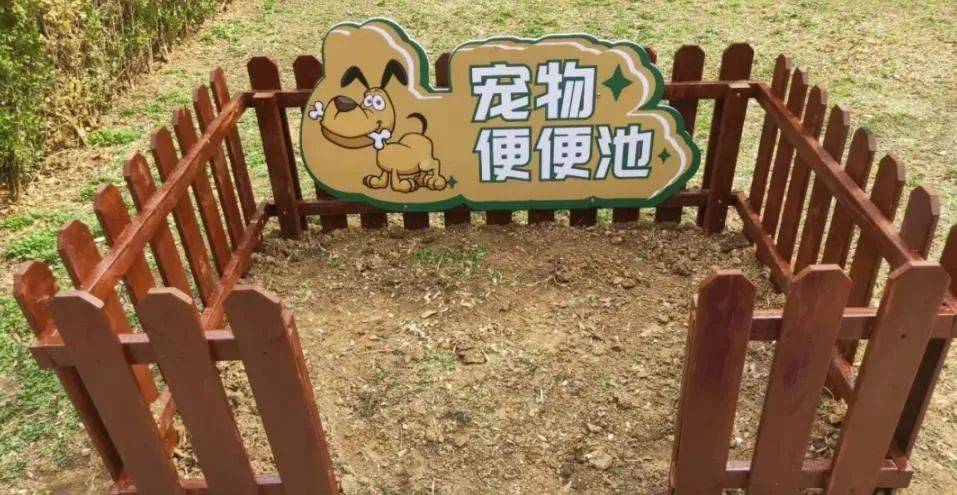 家门口成“狗公厕”<strong></p>
<p>绝版币</strong>，女子喷驱狗剂却被犬主告上法庭