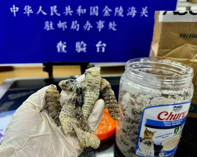 离谱！2.4斤生腌响尾蛇<strong></p>
<p>炒币网钱包</strong>，被藏在零食罐里……