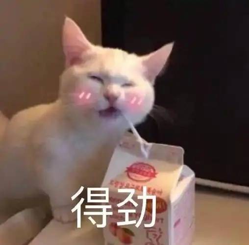 警惕！河南一男子卖出200克黄金后<strong></p>
<p>币圈老猫</strong>，彻底傻眼......