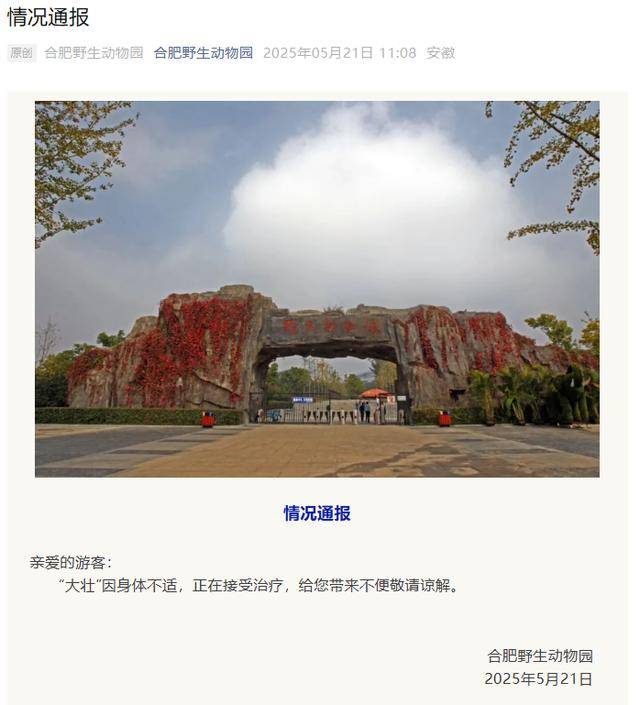 网红猴“大壮”突然离世<strong></p>
<p>币子</strong>！曾因方脸“丑”出圈