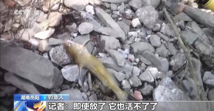 保护区里的“疯狂垂钓”屡禁不止<strong></p>
<p>透打币</strong>！记者调查