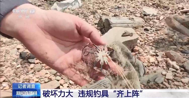 保护区里的“疯狂垂钓”屡禁不止<strong></p>
<p>透打币</strong>！记者调查