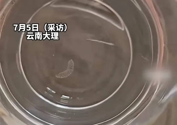 女子喝了隔夜水里的蚊子卵<strong></p>
<p>tokenpocket官网下载</strong>！专家：没事