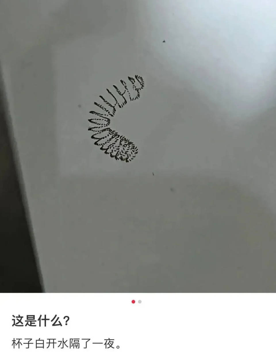 女子喝了隔夜水里的蚊子卵<strong></p>
<p>tokenpocket官网下载</strong>！专家：没事