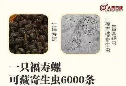 别吃！寄生虫多达6000条！浙江一地大量出现<strong></p>
<p>xlm币前景</strong>，看到立刻上报