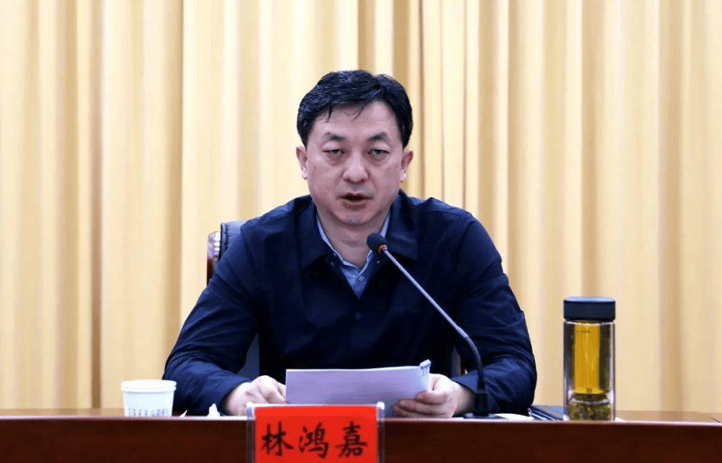 鹤壁市常务副市长林鸿嘉<strong></p>
<p>xmr算力</strong>，被罢免市人大代表职务