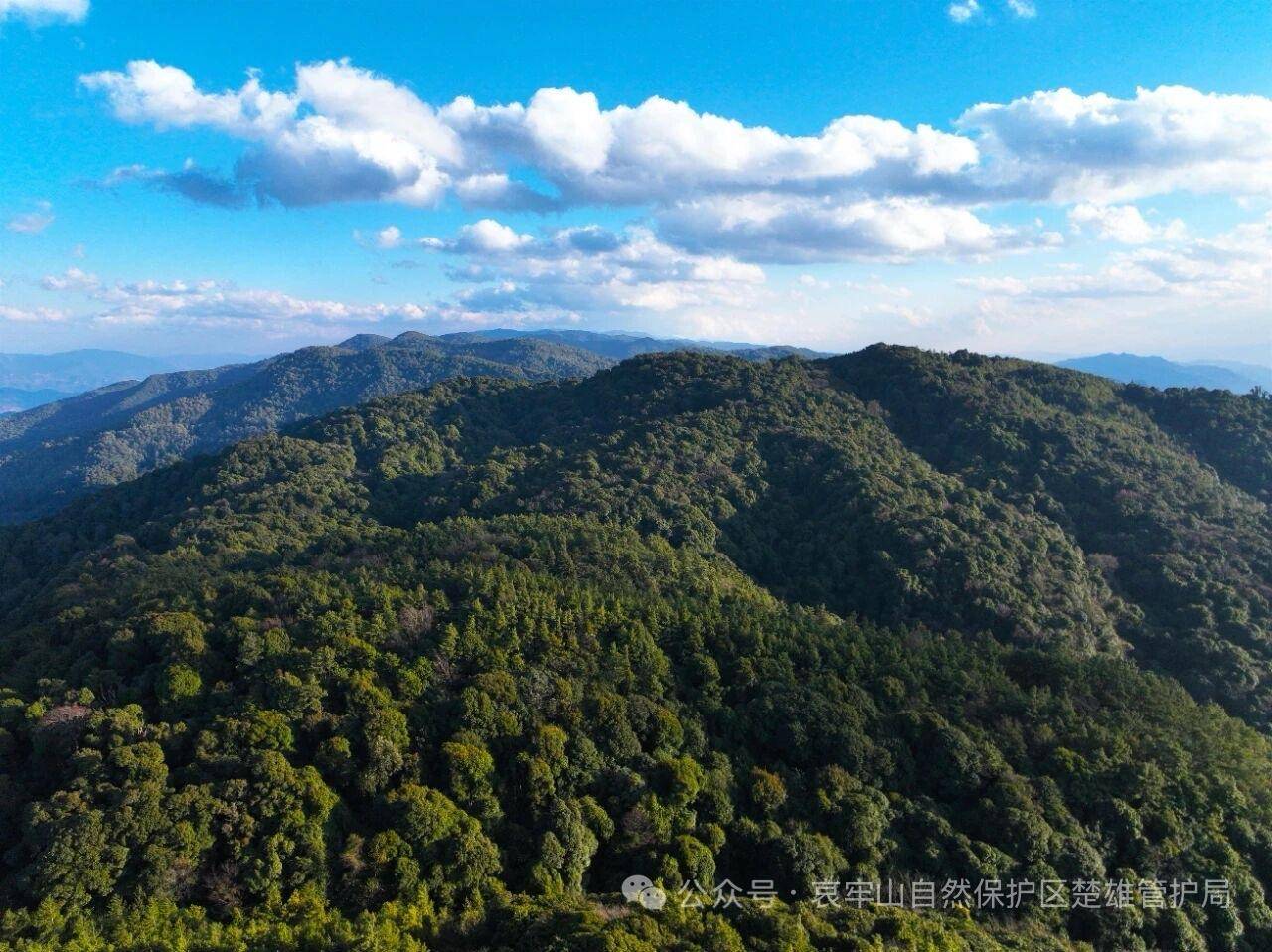 云南哀牢山新规出台：禁止任何单位和个人擅入哀牢山自然保护区<strong></p>
<p>xrp</strong>，从事科研活动须报批