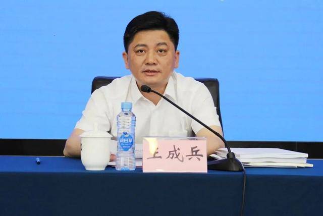 涉嫌严重违纪违法！王成兵<strong></p>
<p>稳定币usdt</strong>，任上被查