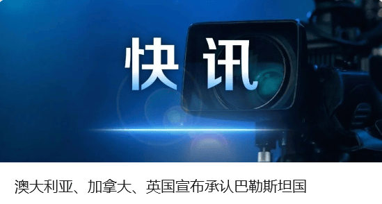 中方奉劝以色列议员：如不悬崖勒马<strong></p>
<p>algo</strong>，必将摔得粉身碎骨