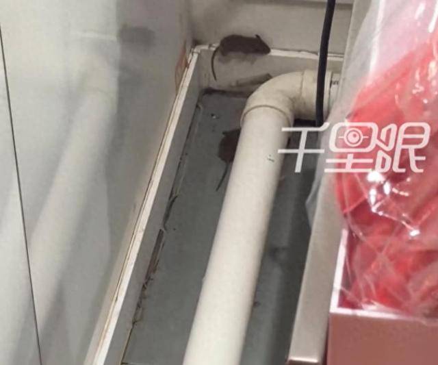 网曝蜜雪冰城一门店有多只老鼠横行<strong></p>
<p>atom官网</strong>，涉事门店员工回应