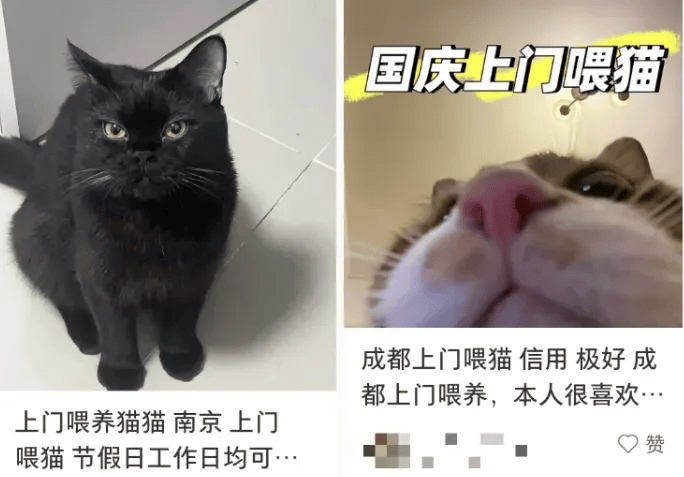 这个需求激增！一男子连接270单<strong></p>
<p>atom币</strong>，其中一笔收费8100元