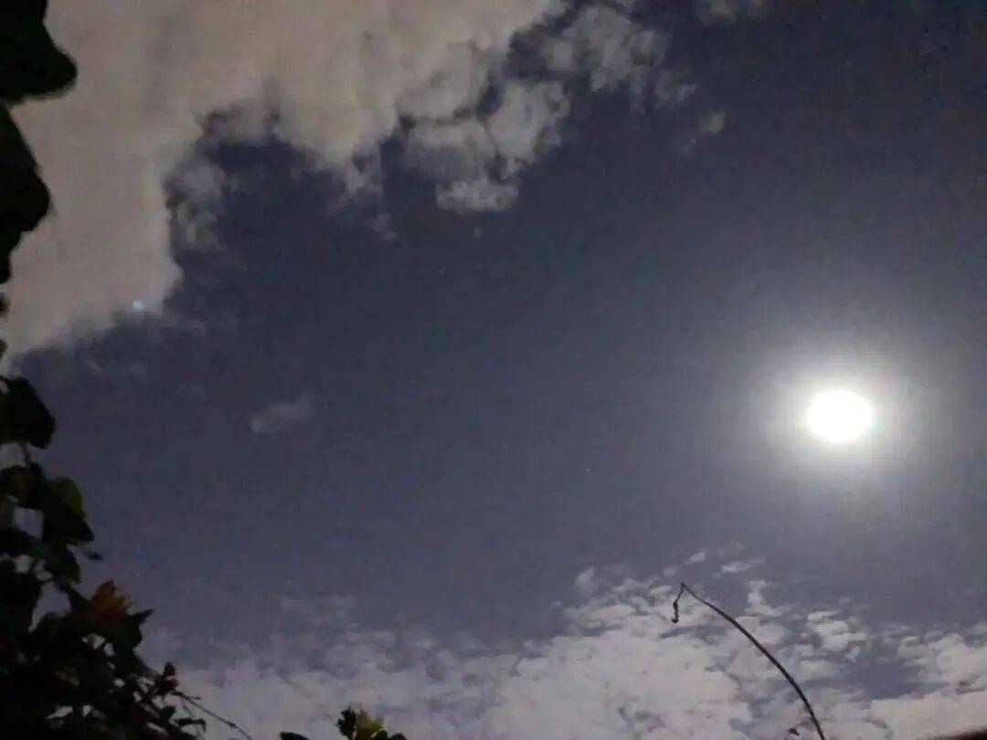 没有什么能阻挡！今天<strong></p>
<p>atom币</strong>，广西人就是要回家！