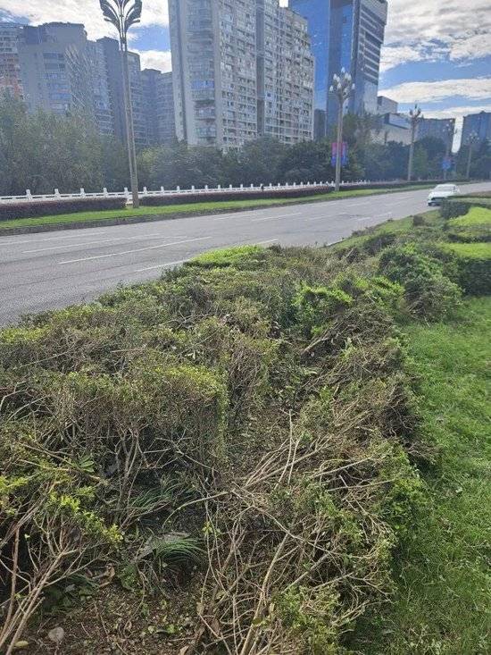 小米汽车失控起火司机遇难<strong></p>
<p>DAI</strong>，目击者称车速150km/h，实探事故地：燃烧留下的印记仍在