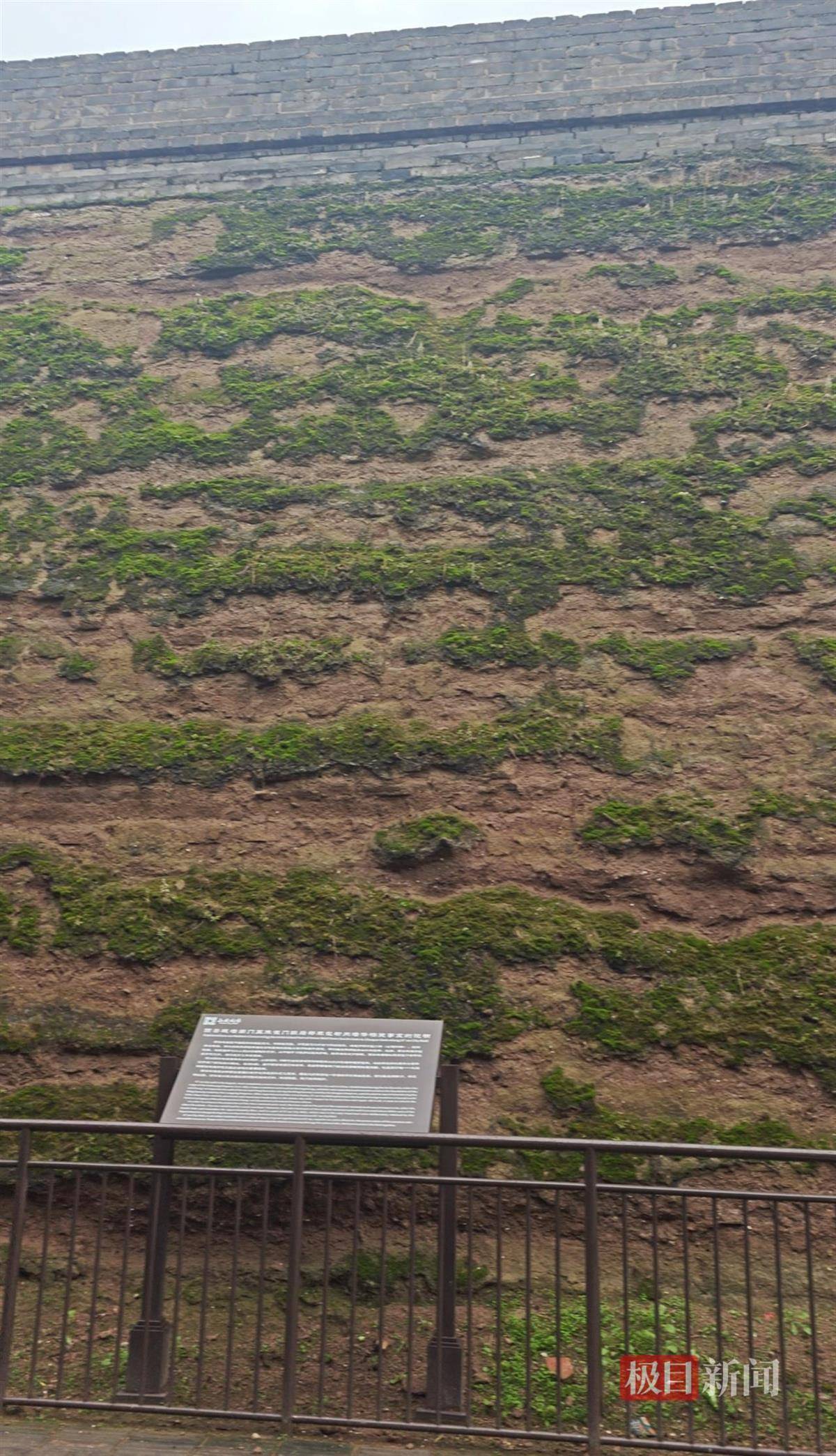 西安连续一个多月降雨遍地长蘑菇<strong></p>
<p>DAI</strong>,大雁塔受潮,城墙布满青苔,气象局解释成因