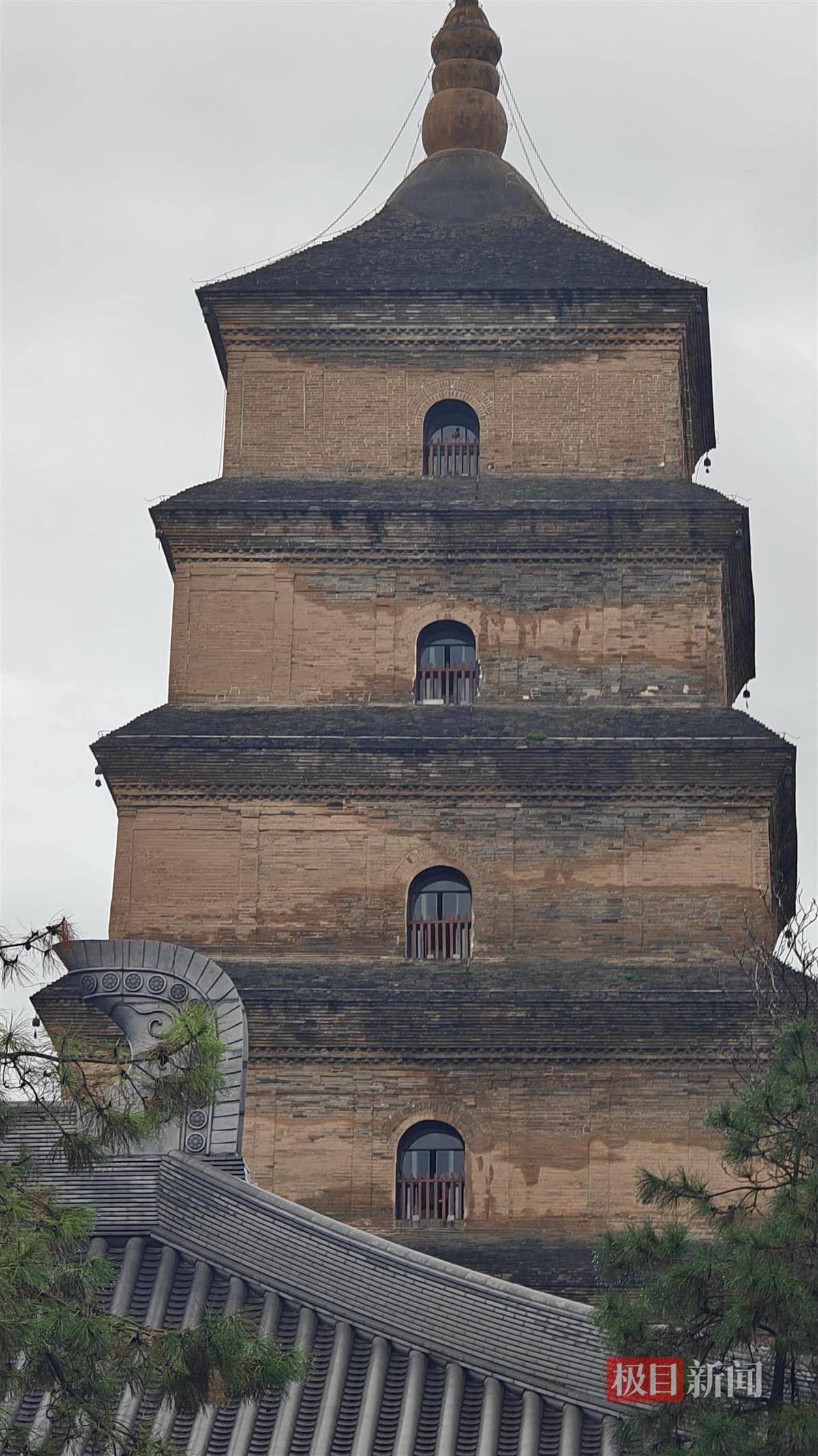 西安连续一个多月降雨遍地长蘑菇<strong></p>
<p>DAI</strong>,大雁塔受潮,城墙布满青苔,气象局解释成因