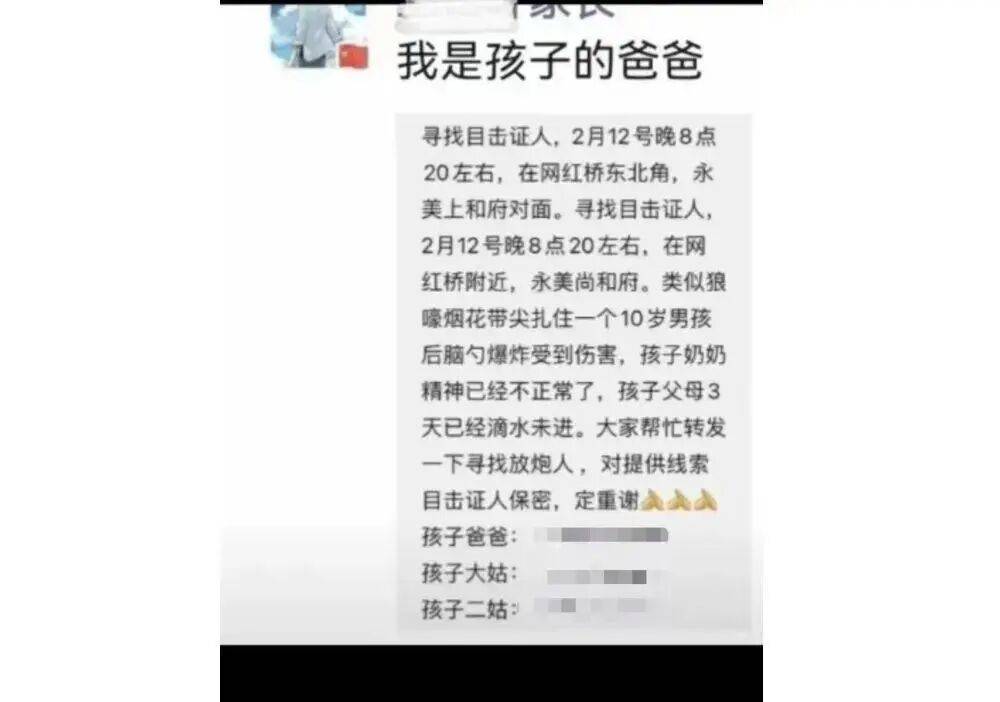 10岁男孩被烟花击中头部身亡<strong></p>
<p>DAI</strong>,14岁嫌疑人被告上法庭,最新进展→