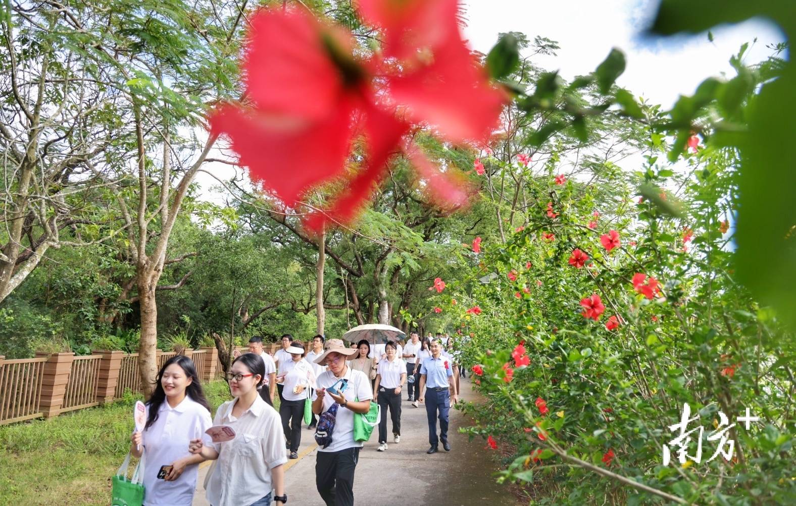 中山城建集团“连心桥”移交<strong></p>
<p>DAI</strong>,村企共建绘就桂南新画卷