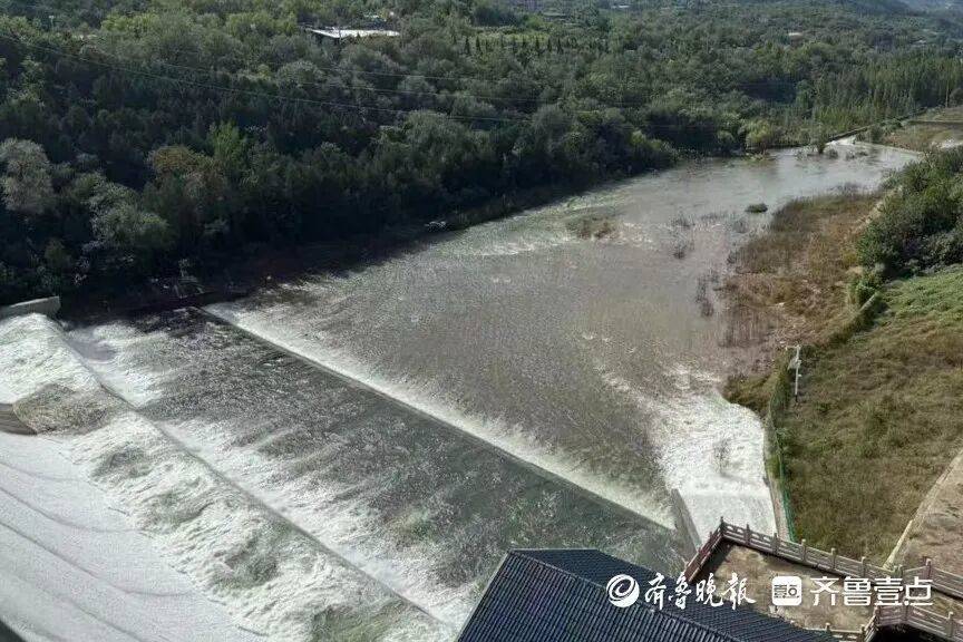 “鱼多得数不过来<strong></p>
<p>dot</strong>,一网子下去能捞好几条”济南锦绣川水库开闸放水,大量鲢鱼被冲出,工作人员:禁止捕捞!