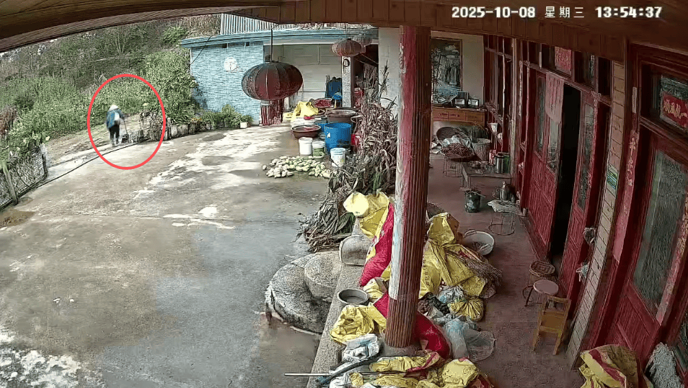 93岁老人进山失联<strong></p>
<p>fil币价格今日行情</strong>，两天后发现他倒挂在树杈上苦撑……