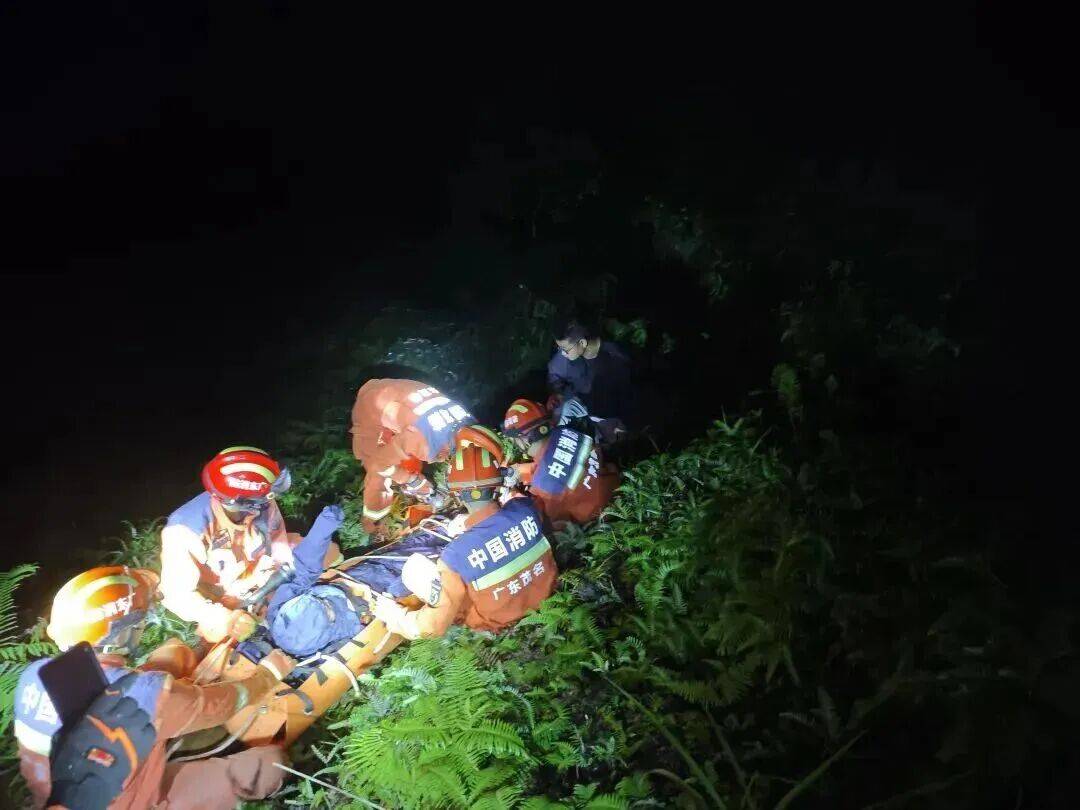 93岁老人进山失联<strong></p>
<p>fil币价格今日行情</strong>，两天后发现他倒挂在树杈上苦撑……