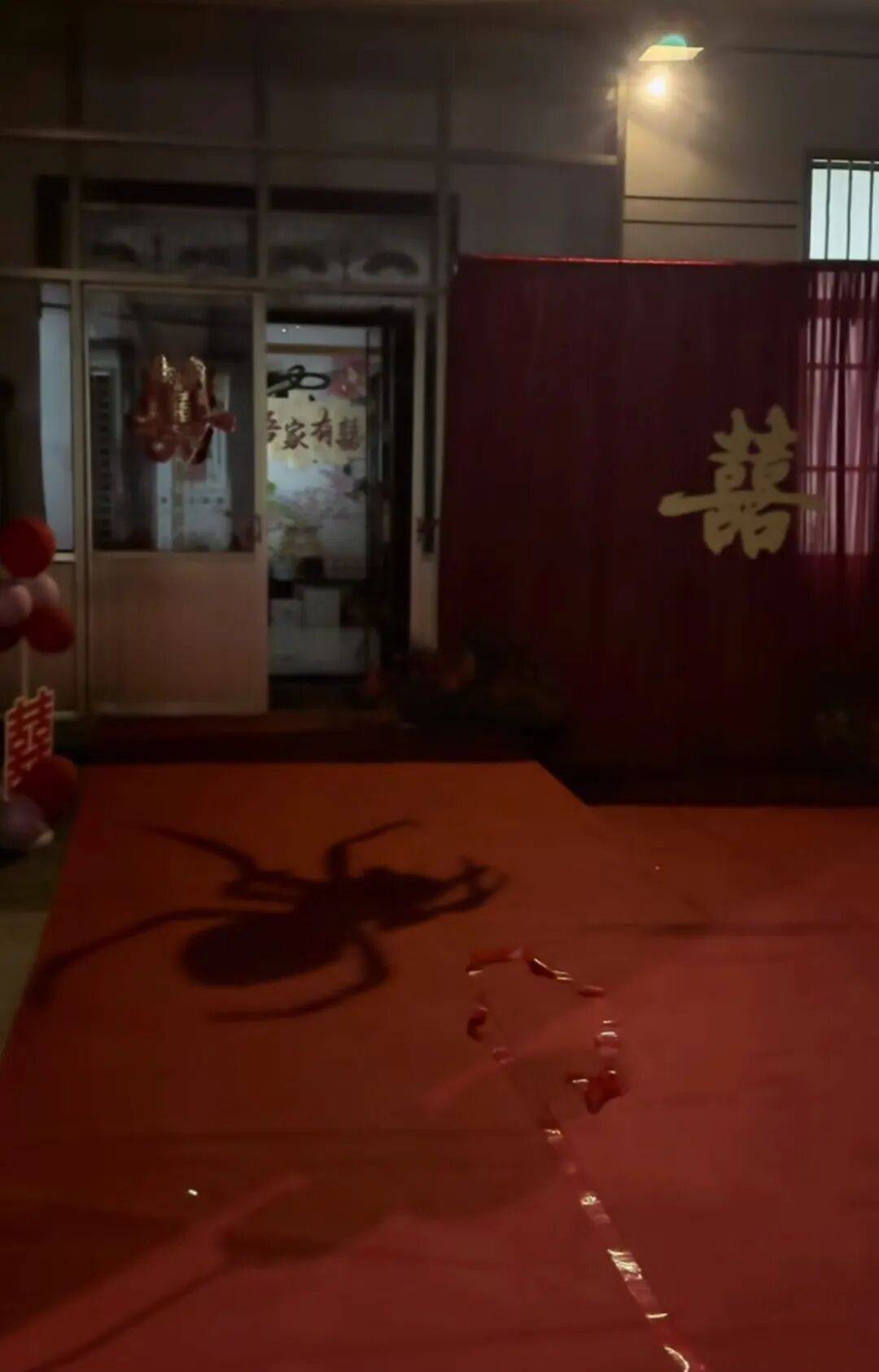 山东一新娘家凌晨出现巨大蜘蛛的倒影<strong></p>
<p>FIL</strong>，拍摄者：蜘蛛爬在灯泡上，网友：这才是喜结连理