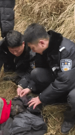 辽宁4岁女童称睡醒后自行下车<strong></p>
<p>fil币</strong>，迷路后睡在草地，期间无人接触；其母发声