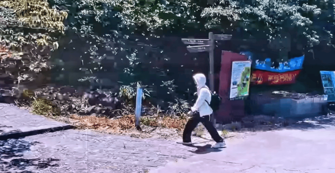 深圳登山失联约70天<strong></p>
<p>fil今日行情</strong>，27岁男子遗体疑被找到已遇难，其位于一块大石头下，家属回应