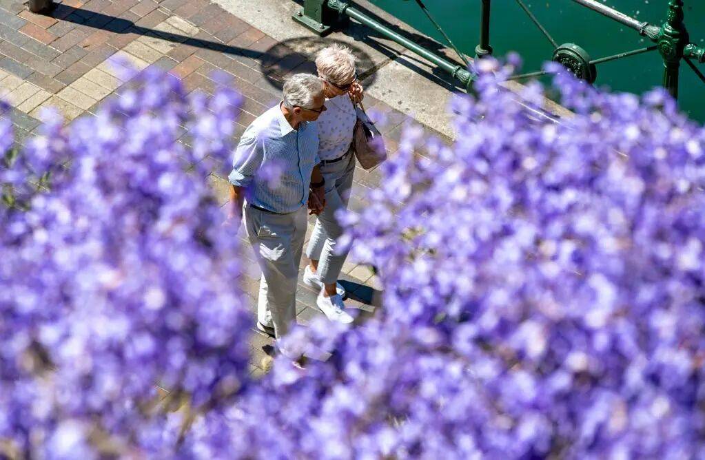 别说自己老了<strong></p>
<p>fil今日行情</strong>,大脑功能或60岁时达巅峰