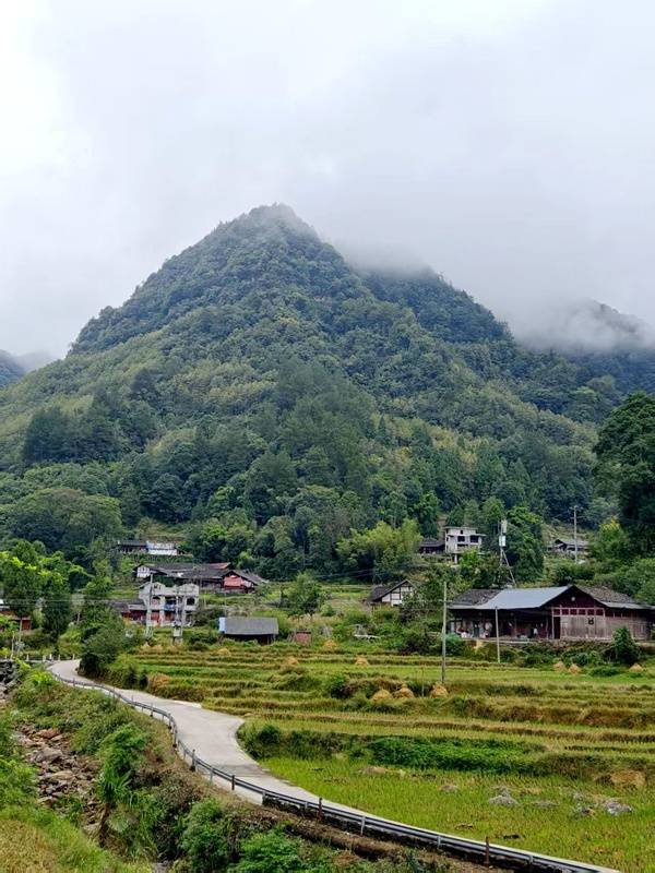 推窗见梯田<strong></p>
<p>fil价格</strong>！梧桐山民宿：把日子过成诗