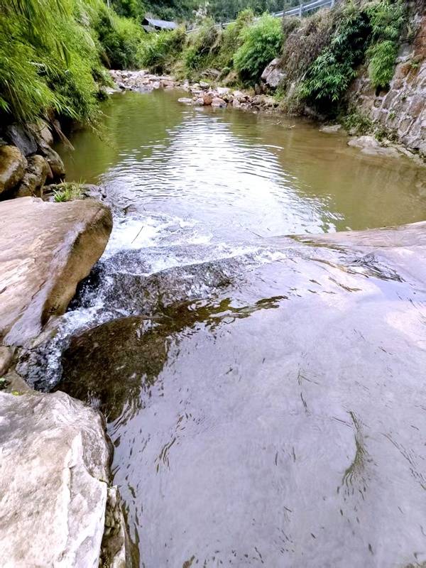 推窗见梯田<strong></p>
<p>fil价格</strong>！梧桐山民宿：把日子过成诗