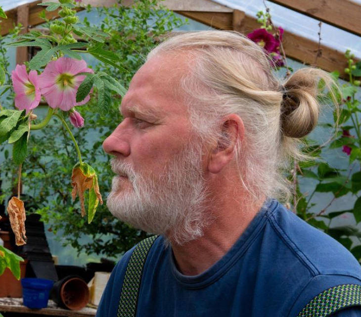 两只雌蚊和一只雄蚊被发现<strong></p>
<p>fil币价格</strong>,全球最后一个无蚊国冰岛“沦陷”