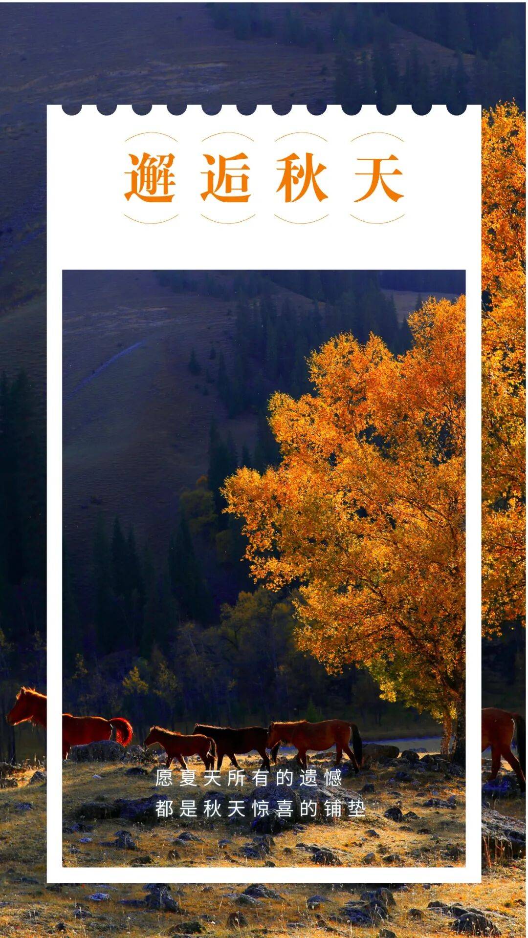 邂逅博州的秋天<strong></p>
<p>fil币价格</strong>,从从容容游刃有余