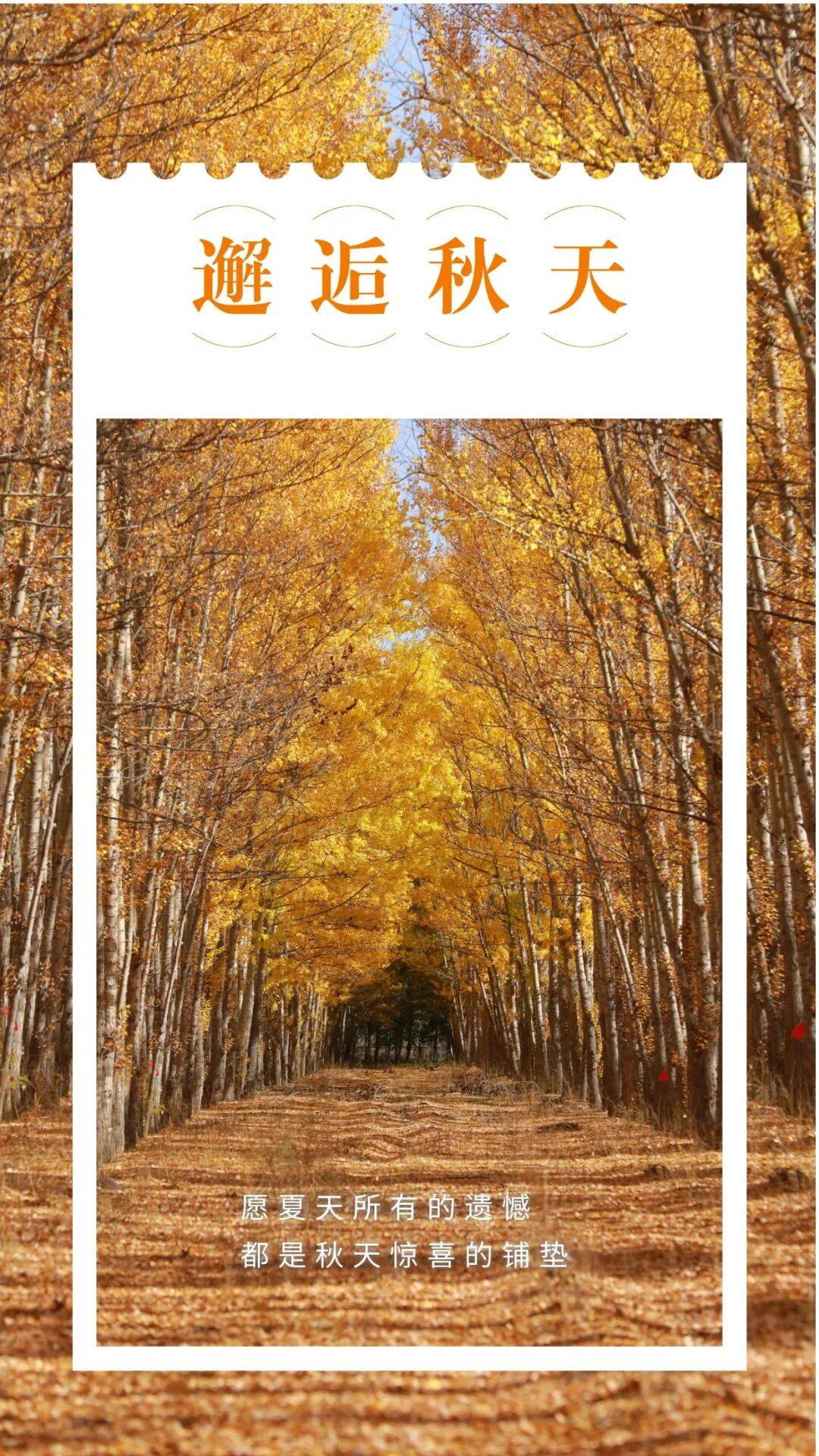 邂逅博州的秋天<strong></p>
<p>fil币价格</strong>,从从容容游刃有余