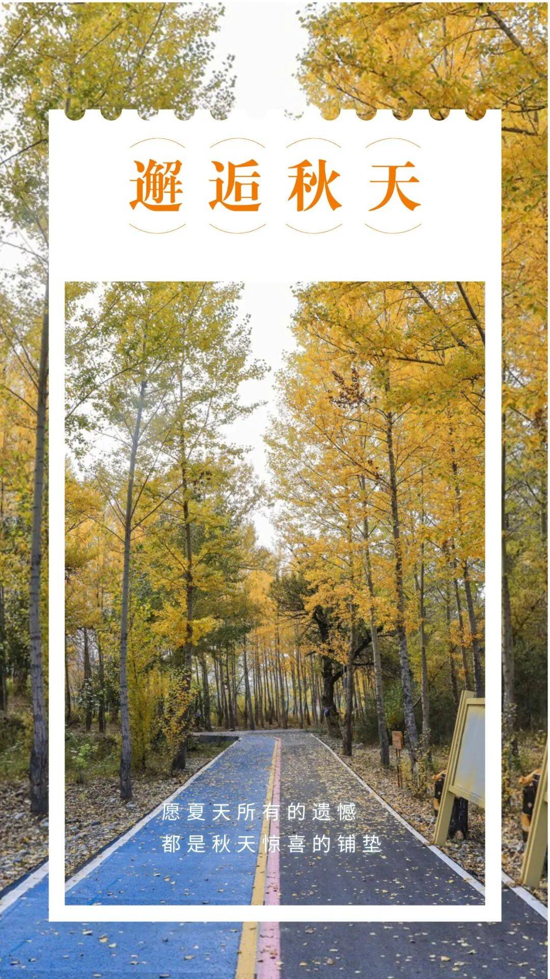 邂逅博州的秋天<strong></p>
<p>fil币价格</strong>,从从容容游刃有余