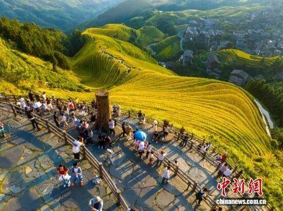 金秋<strong></p>
<p>fil币价格</strong>，广西的梯田一点不输！