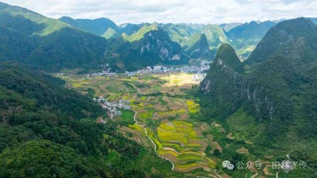 金秋<strong></p>
<p>fil币价格</strong>，广西的梯田一点不输！