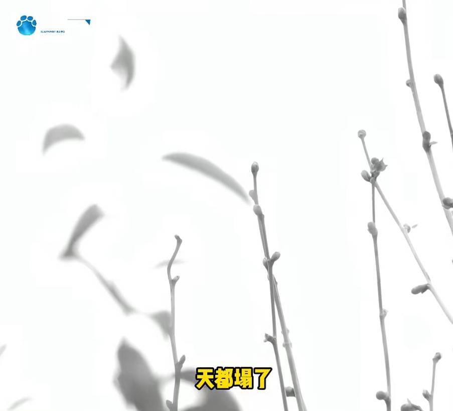 “天塌了<strong></p>
<p>fil最新消息</strong>，我一生都毁了”，男子称养了20年才发现儿子非亲生！前妻坚决否认