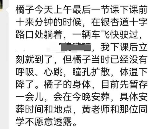 《红舞鞋》剧组在高校拍摄时撞死流浪猫<strong></p>
<p>fil最新消息</strong>,剧组凌晨致歉:涉事司机引咎辞职,将以小猫名字成立基金