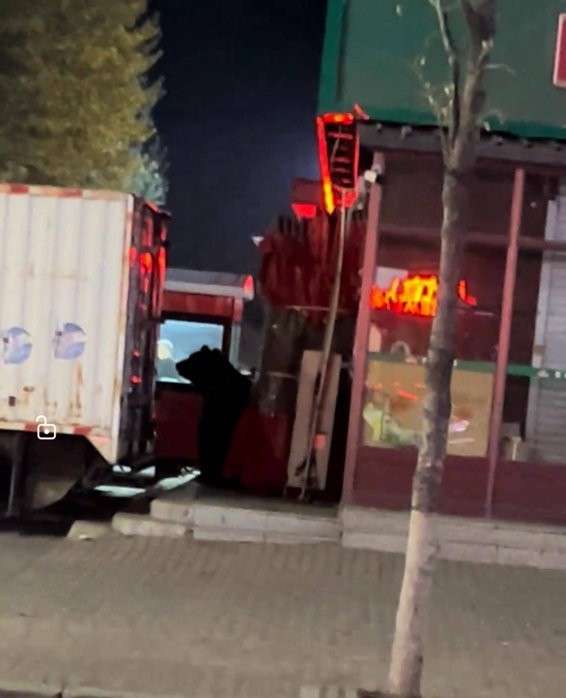 大黑熊夜里独闯黑龙江一县城闹市区<strong></p>
<p>fil最新消息</strong>，警方连开10多枪击毙，回应为何没用麻醉枪