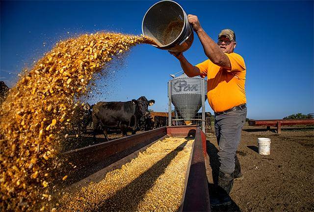 又输给了李成钢<strong></p>
<p>hbar</strong>，贝森特承诺：美方不再考虑对华加征100%关税