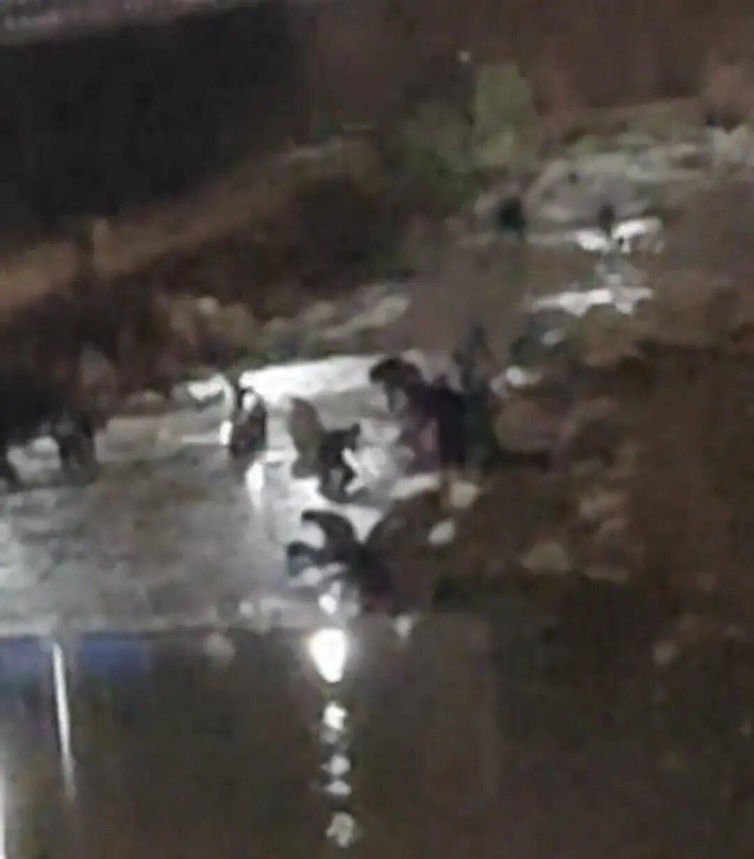 “一盆出5克多”<strong></p>
<p>TON</strong>,多人凌晨下河淘金!当地警方回应