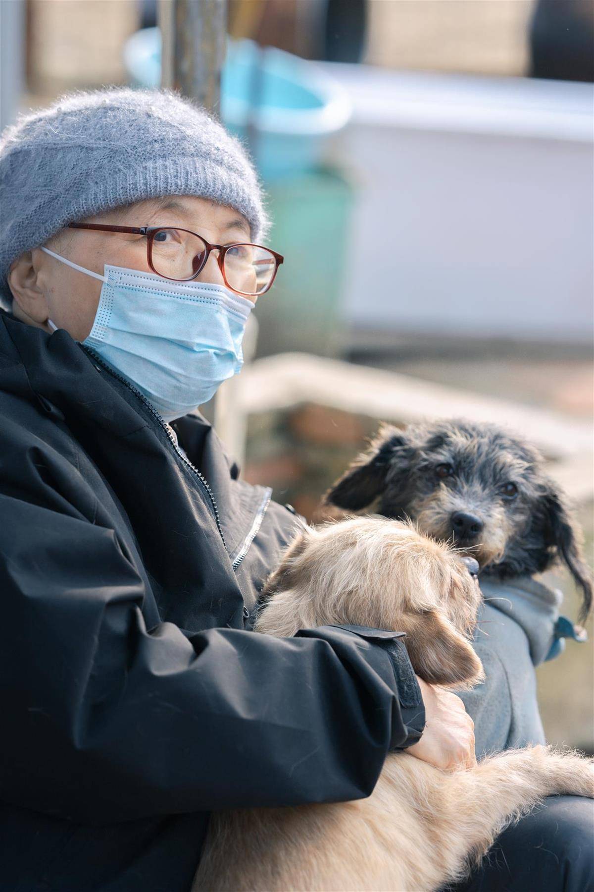 合肥卖房救助流浪狗的魏阿姨离世<strong></p>
<p>ton币</strong>，病中仍然惦记着基地的600只流浪狗，工人：不敢相信世上还有这样执着的人